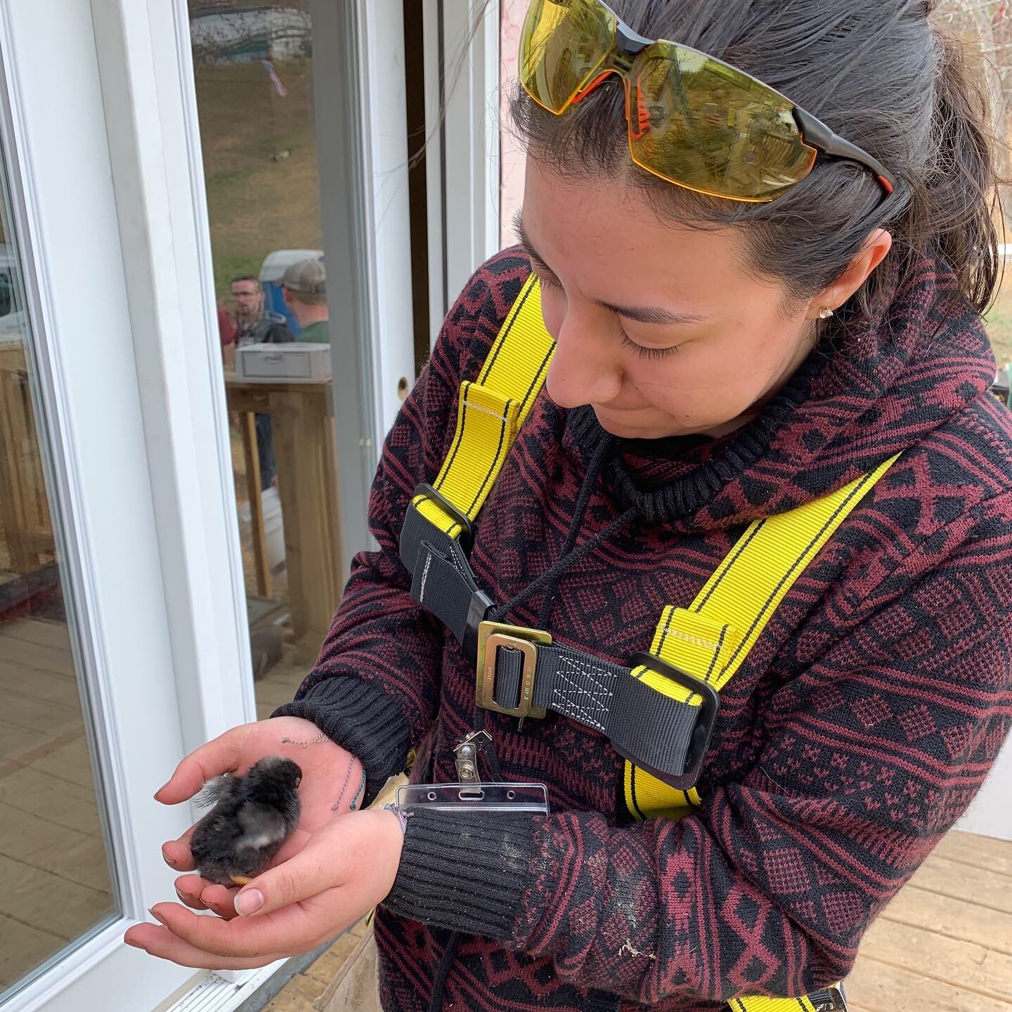  Pictures of me volunteering in Kentucky 